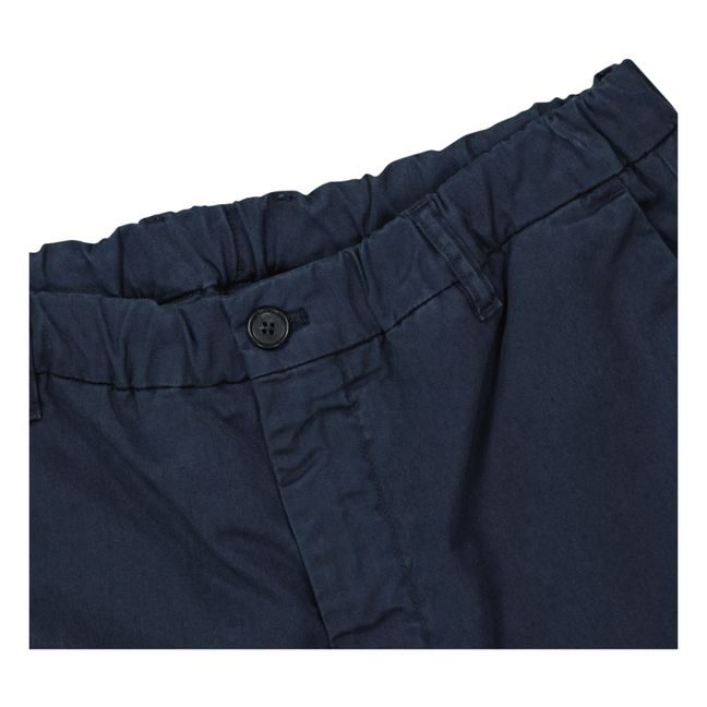 Theodor 1040 Organic Cotton Shorts | Blu marino