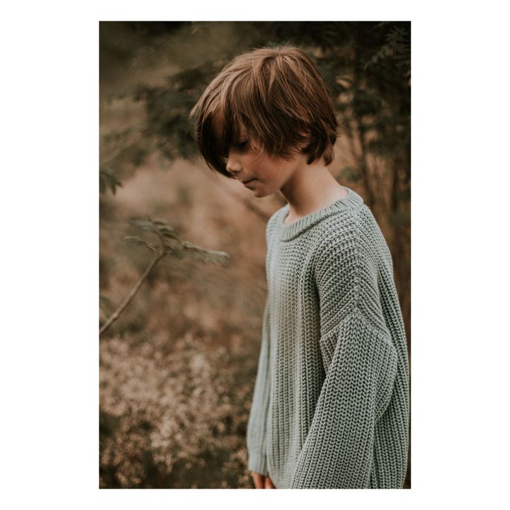 Chunky Organic Cotton Jumper | Blue- Product image n°3