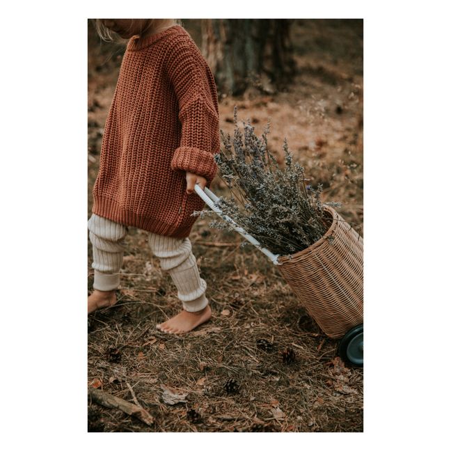 Pull Chunky Coton Bio | Terracotta