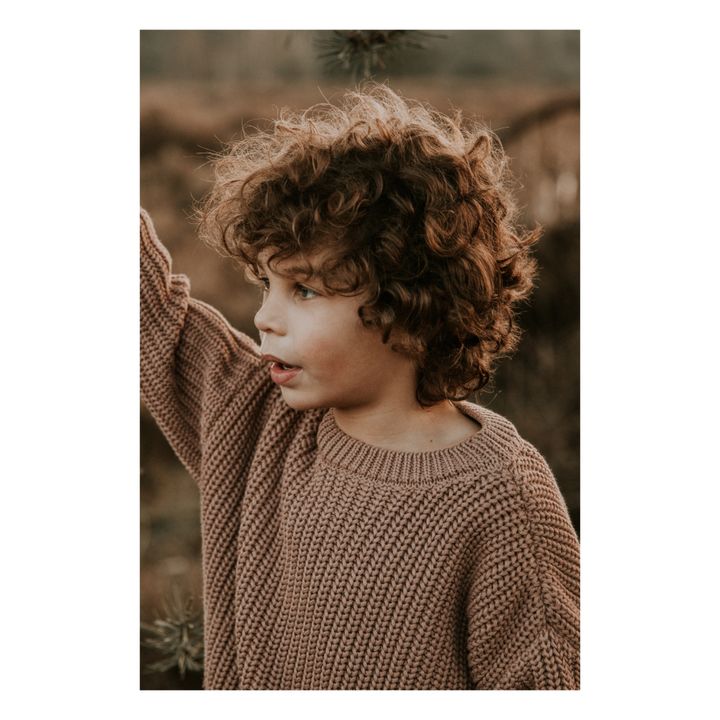Chunky Organic Cotton Jumper | Taupe brown- Product image n°3