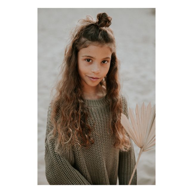 Pull Chunky Coton Bio | Sauge