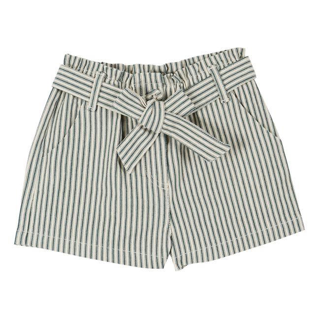 Belted Shorts with Stripes | Green