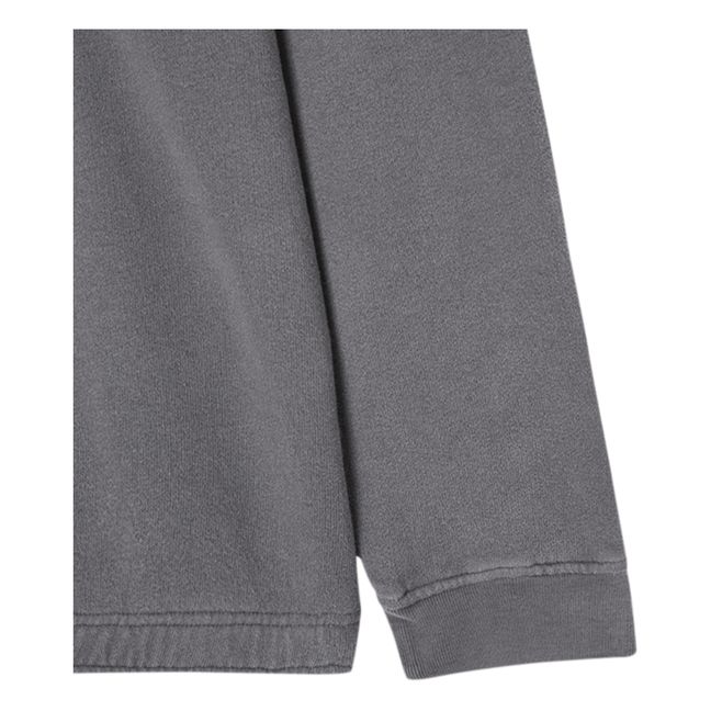 Felpa Izubird | Grigio lavagna