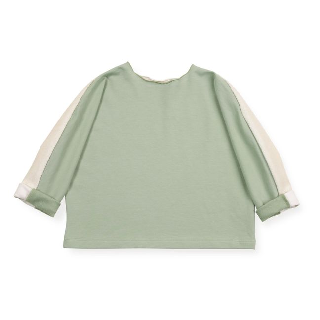 Sudadera de terciopelo de algodón orgánico Ayden | Salvia
