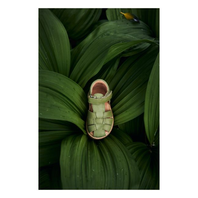 Sandalias con velcro Classic | Verde Pálido
