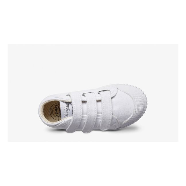 Zip B2 Canvas Highrise Sneakers | White