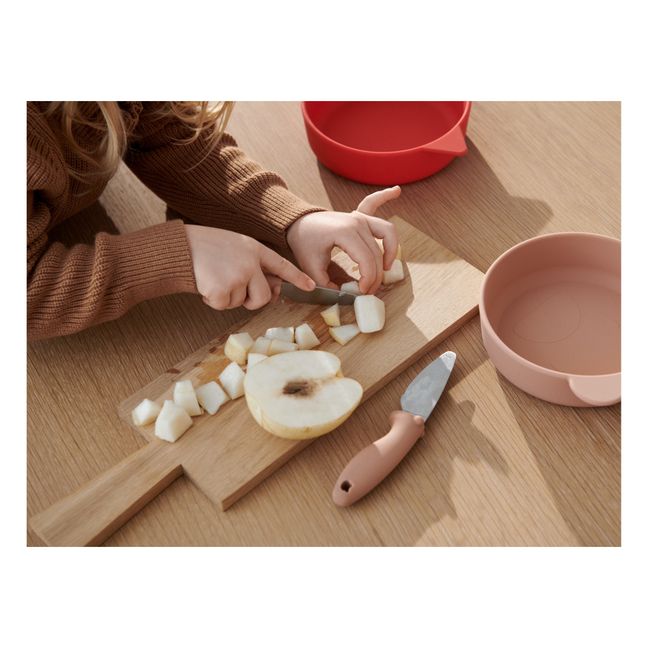 Couteaux en inox Perry - Set de 2 | Rose pâle