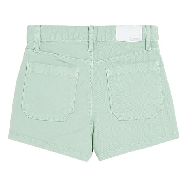Preppy Shorts | Green water