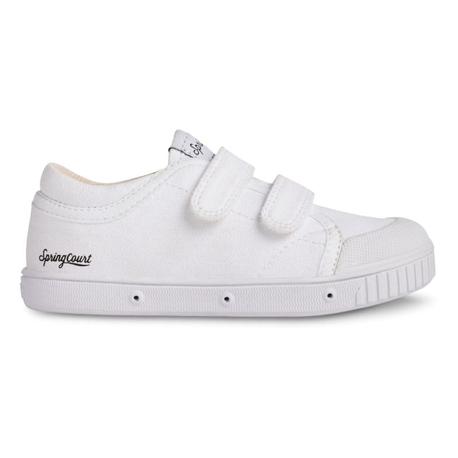 G2 Canvas Scratch Lowrise Sneakers | White