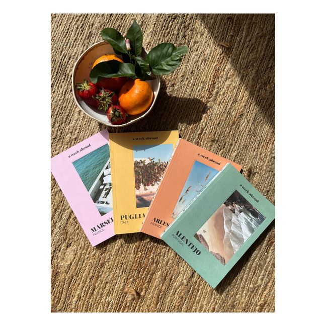 Livre de voyage - Arles & Camargue | Orange