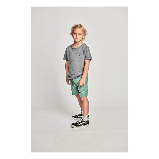 Beachcord Fleece Shorts | Verde menta