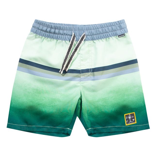 Faden Recycled Polyester Swim Trunks | Green