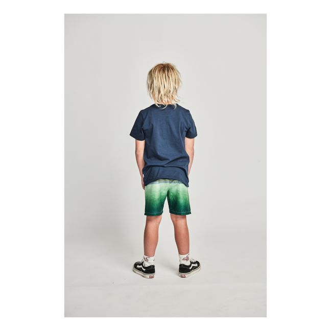 Faden Recycled Polyester Swim Trunks | Green