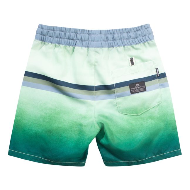Faden Recycled Polyester Swim Trunks | Green
