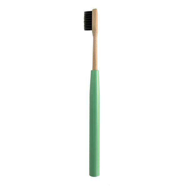 Cepillo de dientes recargable para adultos | Verde