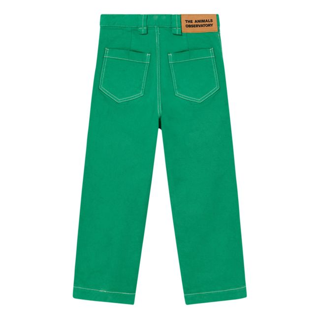Pantalones con detalle de bolsillos de hormiga | Verde