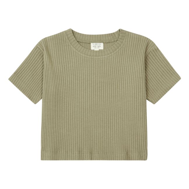 T-Shirt Eden Bio-Baumwolle | Salbei