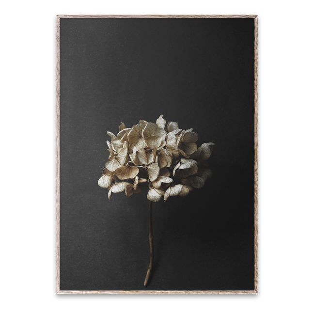 Still life 04 poster - Hydrangea