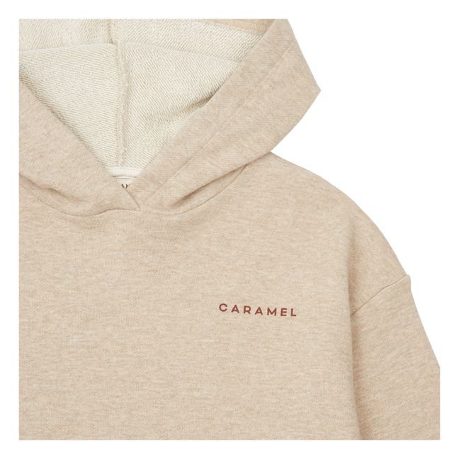 Nori Hooded Jersey Sweatshirt | Taupe brown