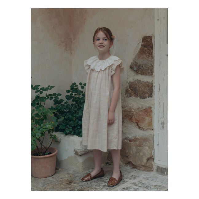 Kleid Riviere | Blassrosa