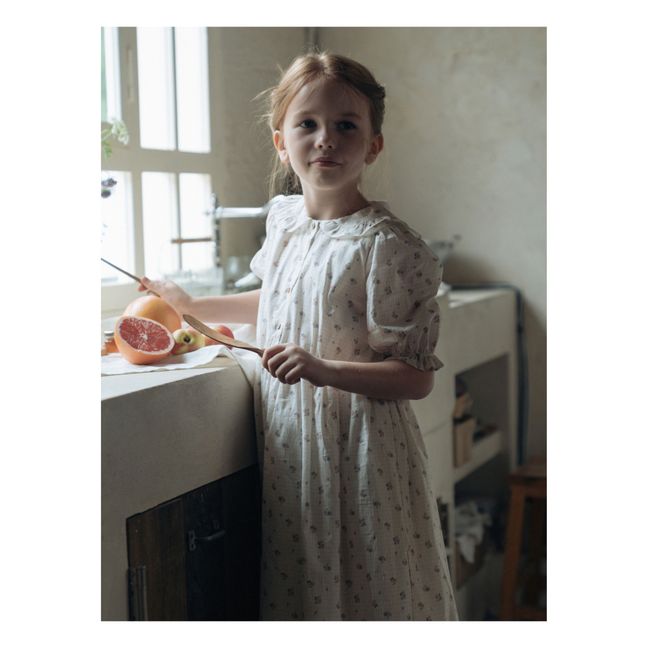 Kleid Maeve | Seidenfarben