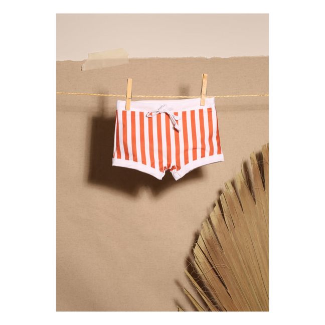 Striped Recycled Material Swim Trunks | Terracotta