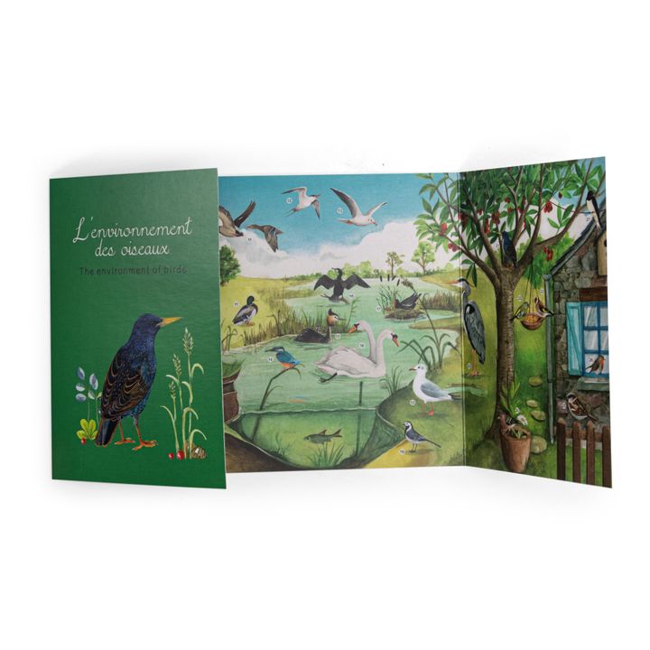 Discovery Set: Birds- Immagine del prodotto n°2