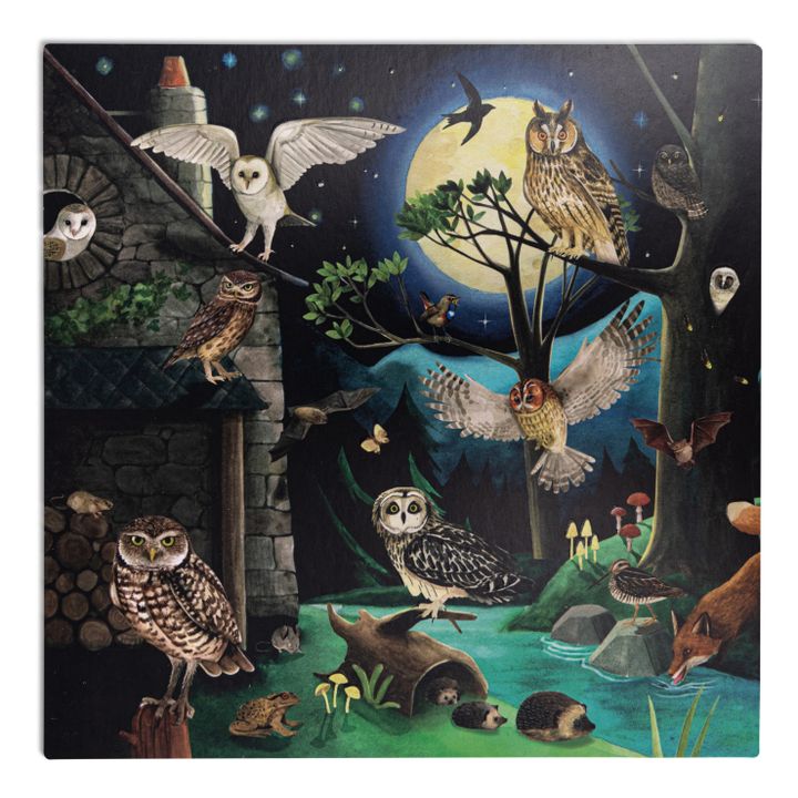Discovery Set: Birds- Immagine del prodotto n°5