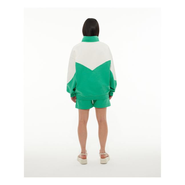 Color Block Zip-up Sweater | Beige - Green
