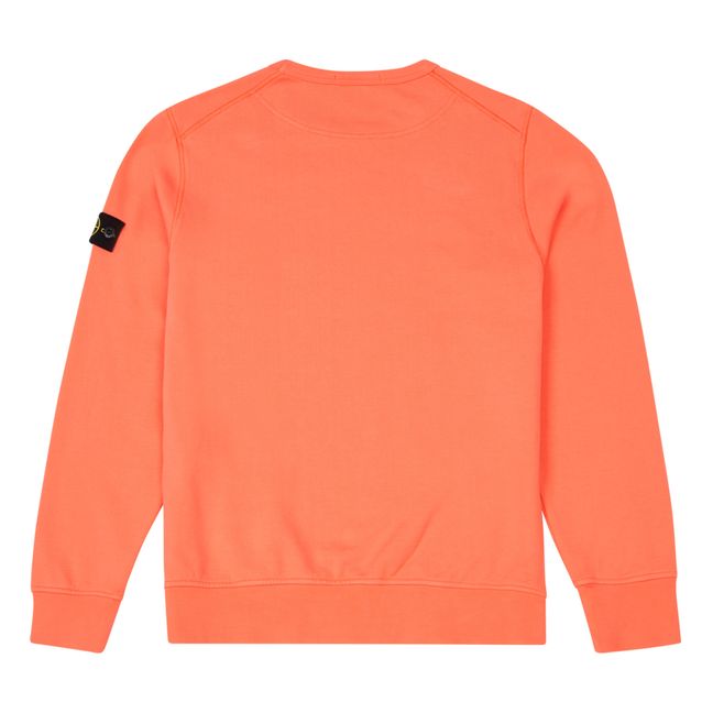 Sweatshirt | Coral