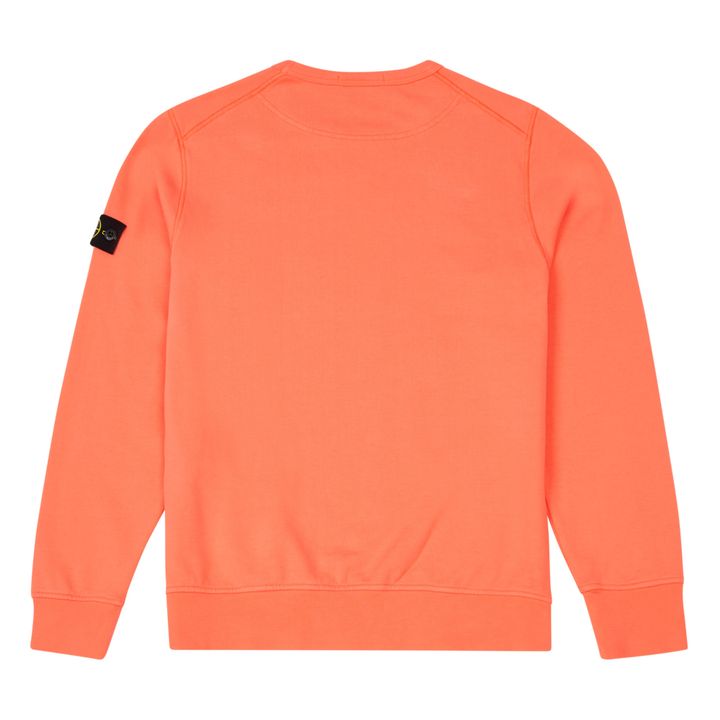 Stone island sale sweatshirt coral