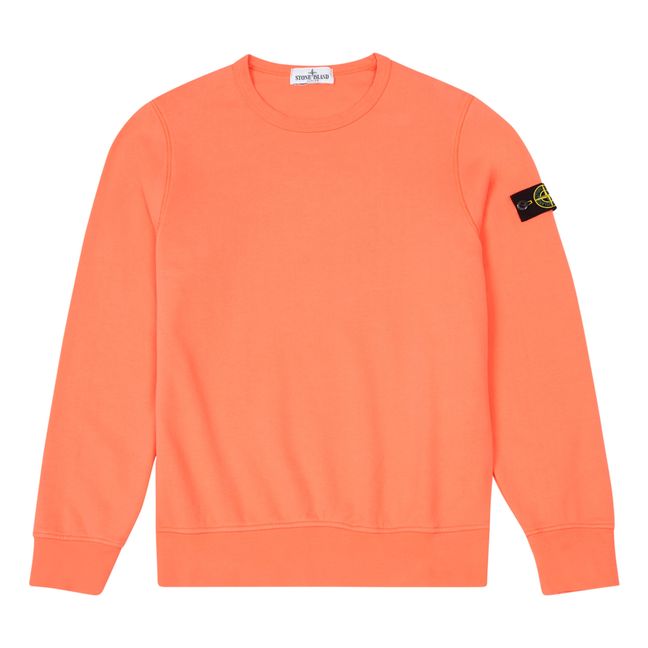 Sweatshirt | Coral