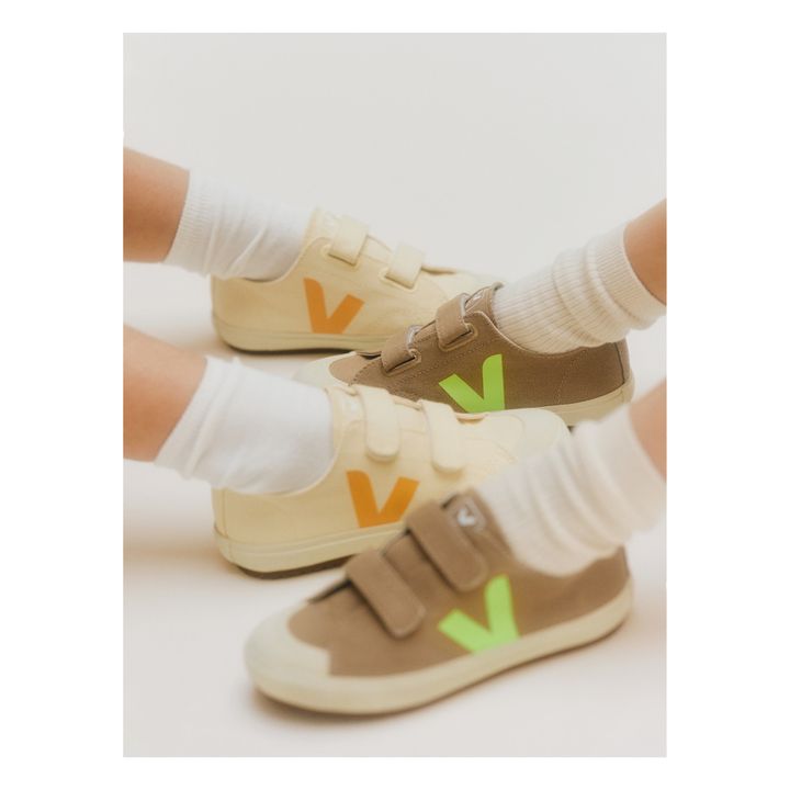 Ollie Veja x Bonpoint Sneakers | Cremefarben- Produktbild Nr. 2