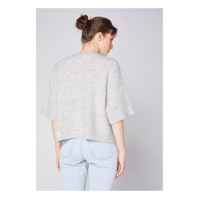 Pull Manches Courtes East Alpaga | Light eather grey