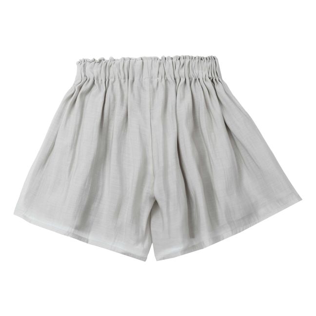 Brienz Shorts | Grau