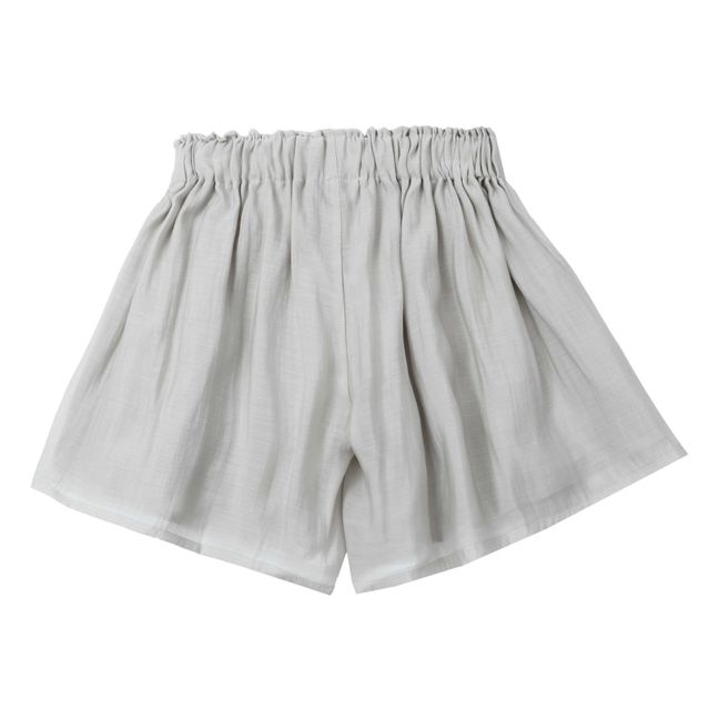 Short Brienz | Gris
