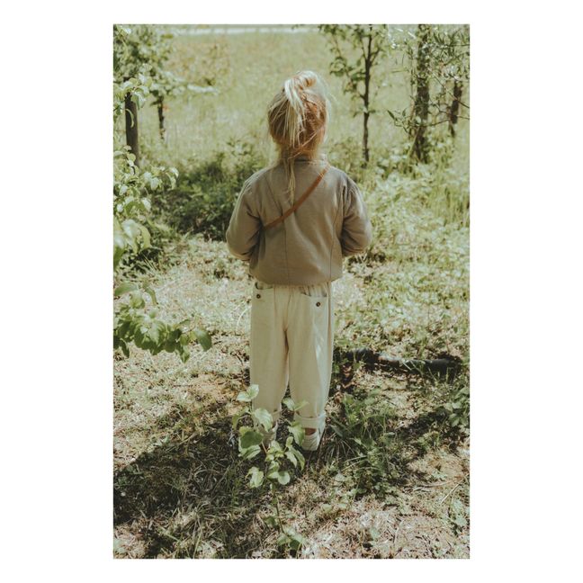 Lahn Linen Pants | Grau