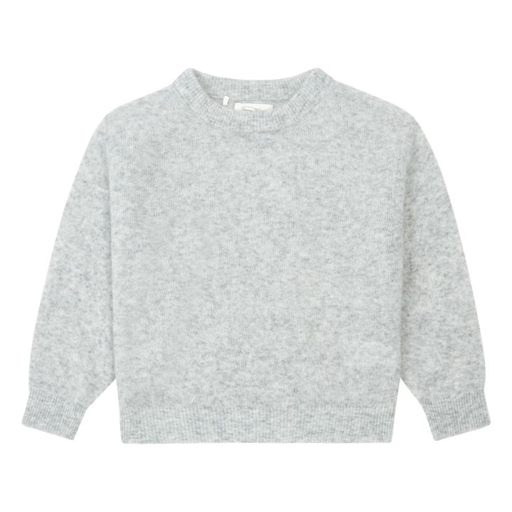 Plain Sweatshirt | Light grey- Product image n°0