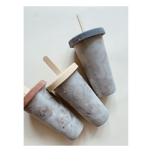 Ice Cream Molds - Set of 4 | Blue