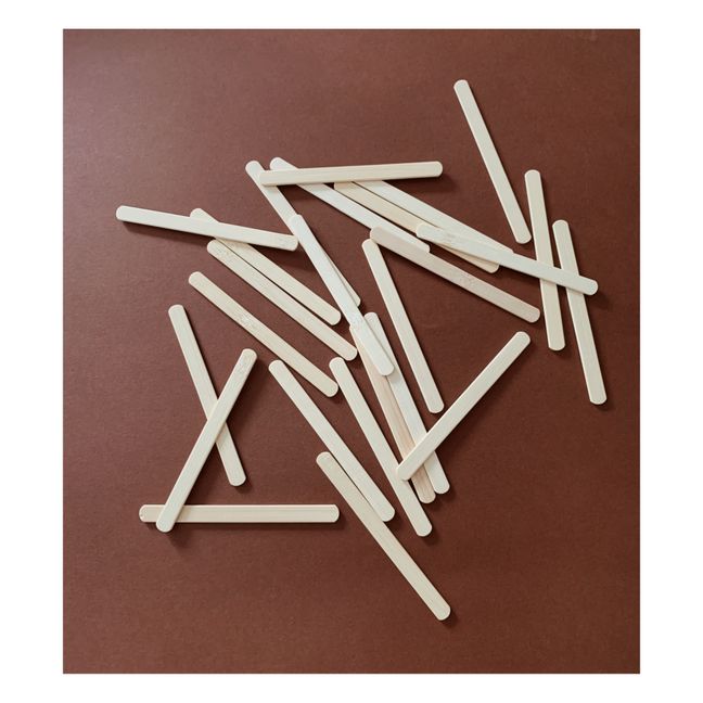 Sticks bamboo réutilisables - set de 25
