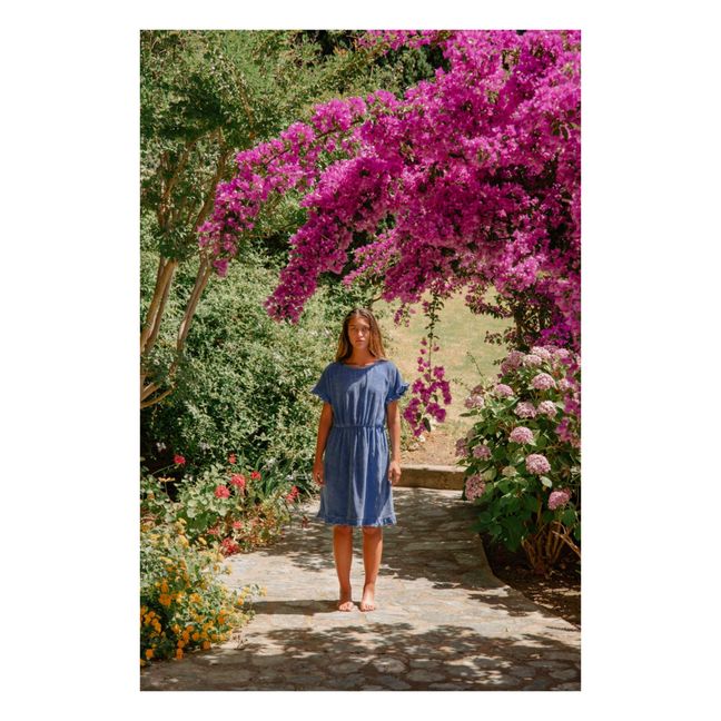 Celine Organic Cotton Terry Dress | Azul Rey