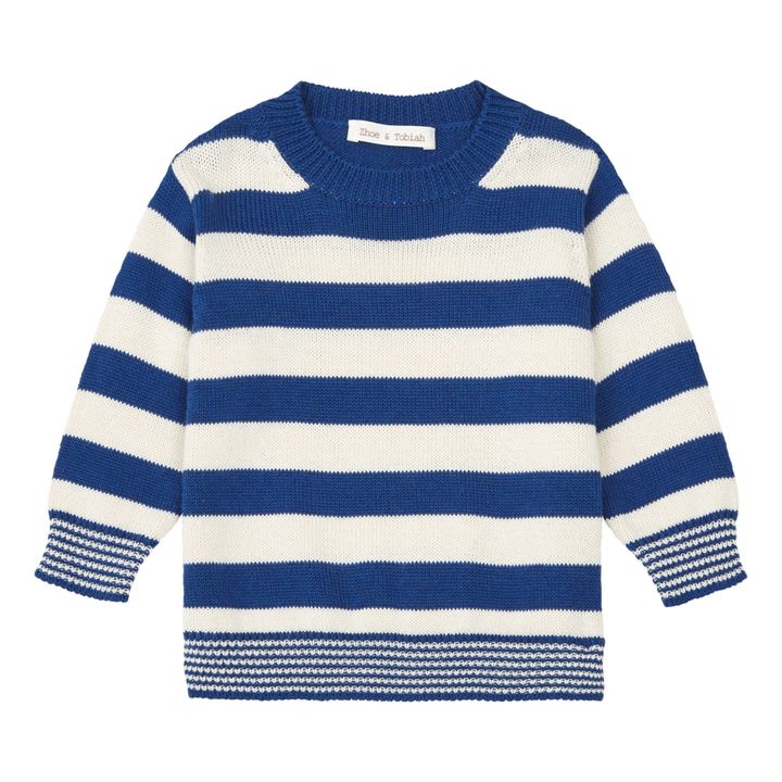 Striped Jumper | Navy blue- Product image n°0
