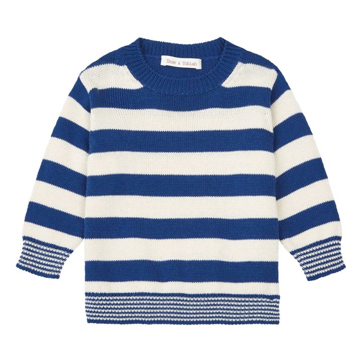 Pull Rayé | Bleu marine- Image produit n°0