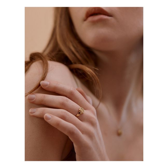 Gyptis Signet Ring | Gold