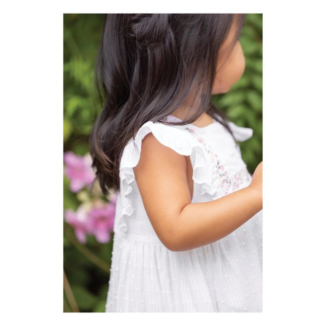 Embroidered Plumetis Dress | Ecru