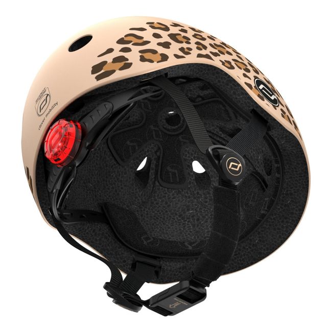 Casco 