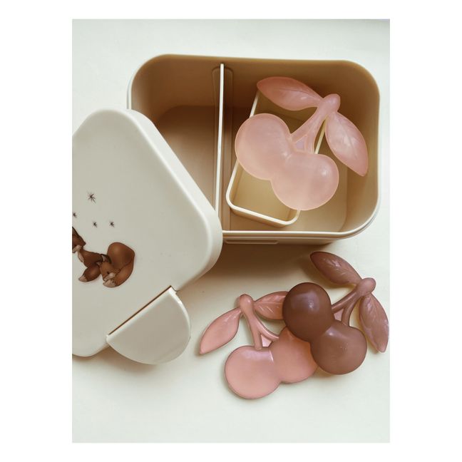 Blocs de glace pour lunch box - Set de 3 | Rouge