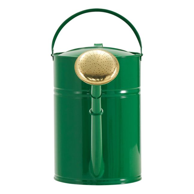 Regadera de metal Wan | Verde