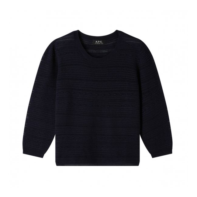 Isae Silk and Cupro Sweater | Azul Marino