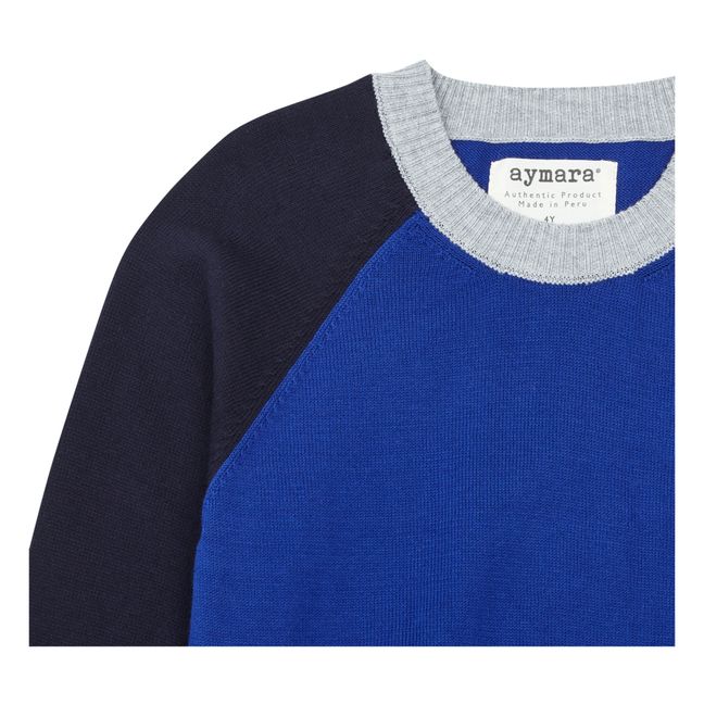 Marlo Organic Cotton Sweater | Blue